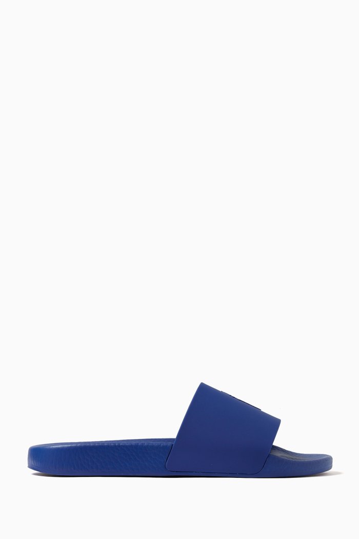 

Logo Slides in EVA, Blue