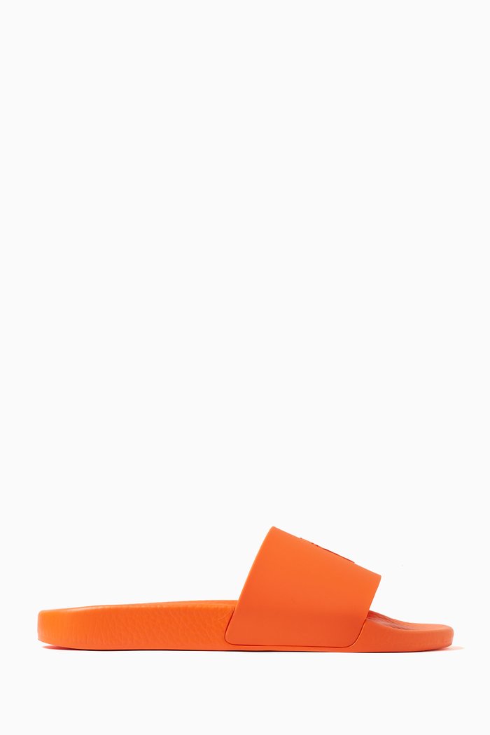 

Logo Slides in EVA, Orange