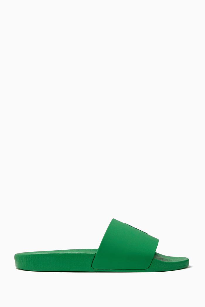 

Logo Slides in Plastic, Green