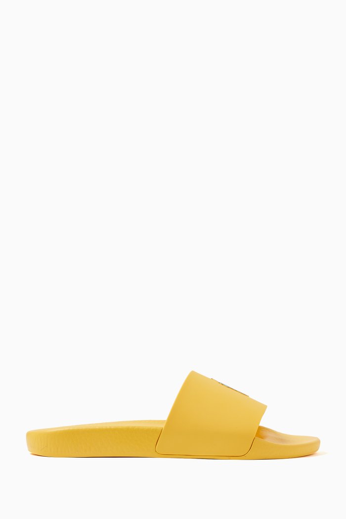 

Logo Slides in EVA, Yellow
