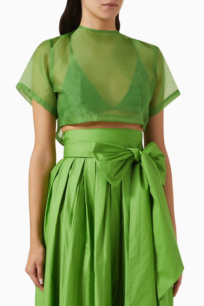 

Indie Sleeve Crop Top in Silk, Green