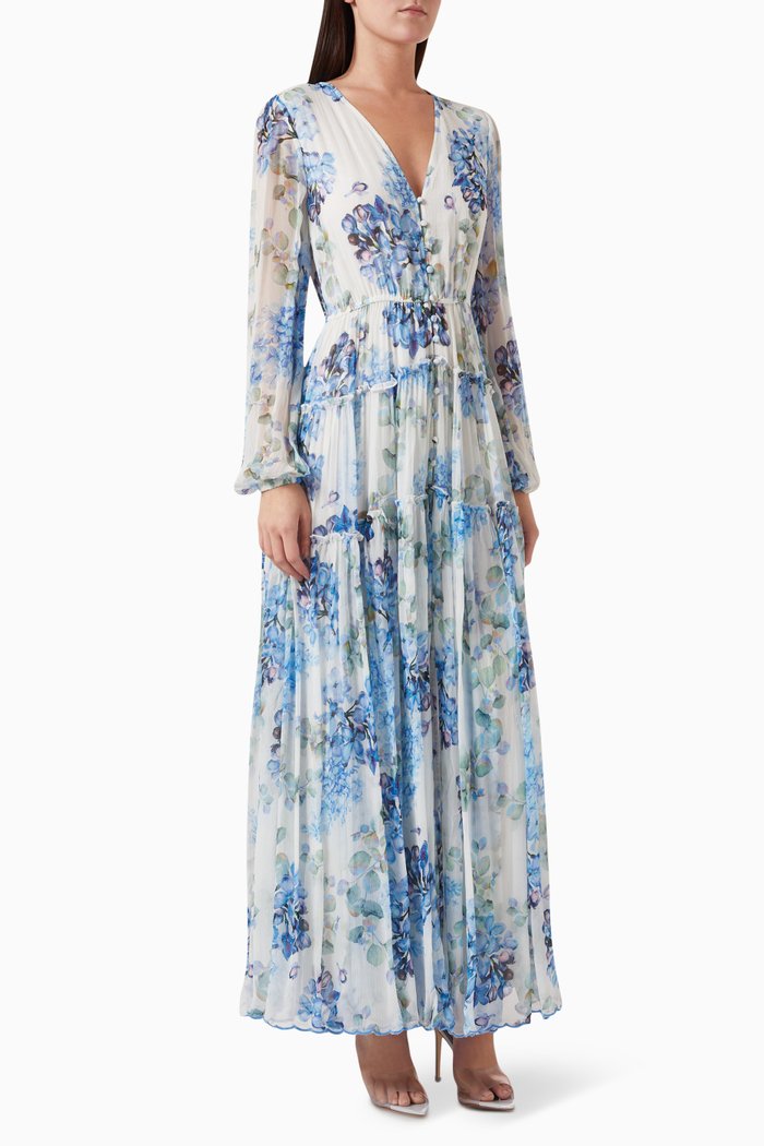 

Aara Floral Maxi Dress in Chiffon, Multicolour