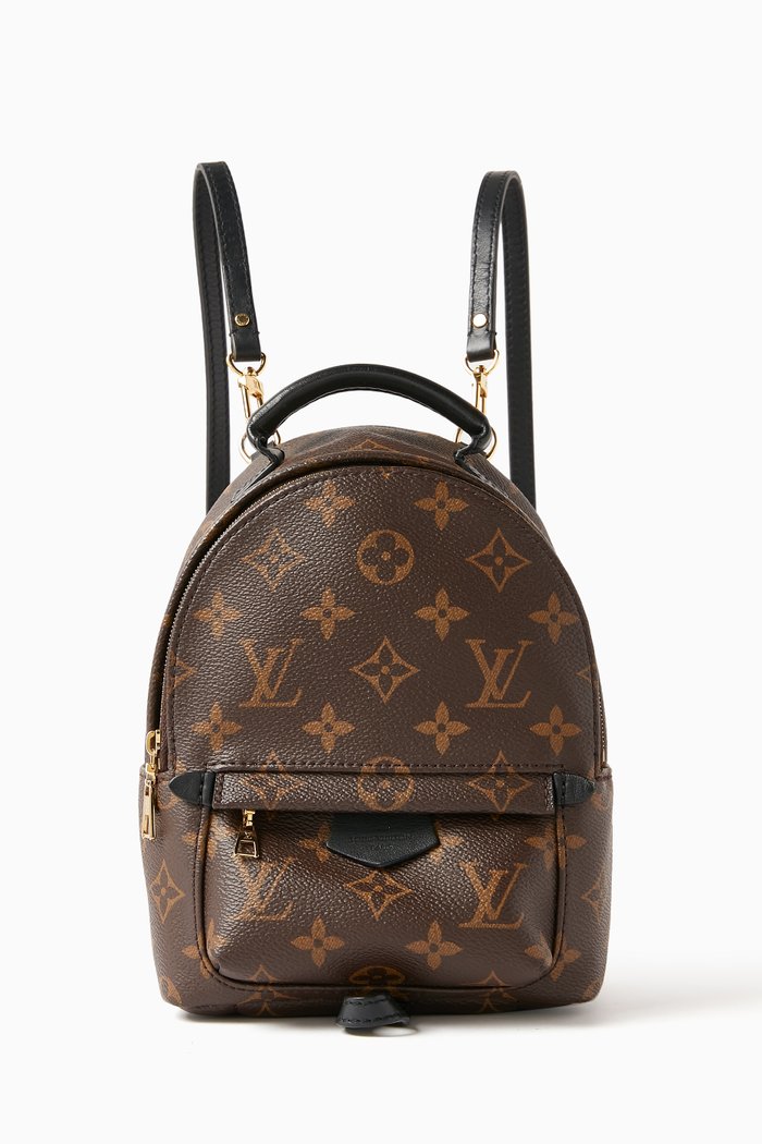 Mini Palm Springs Backpack in Monogram Canvas, Brown