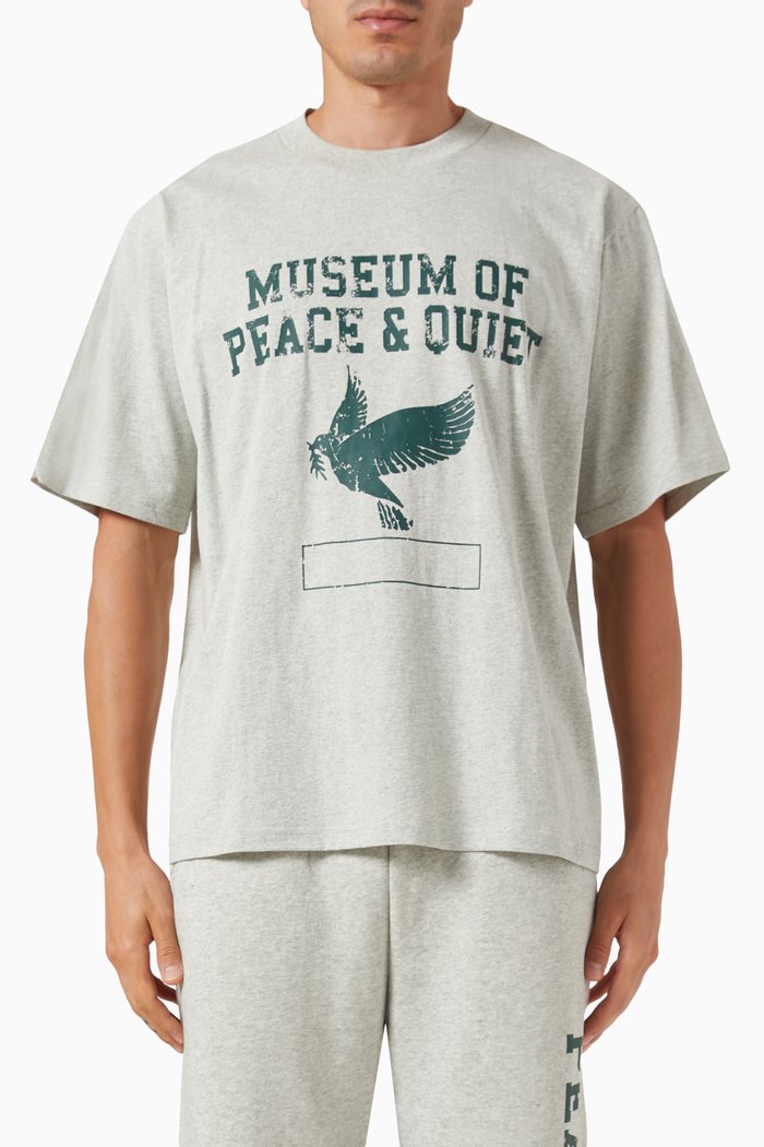 

P.E. T-shirt in Cotton, Grey