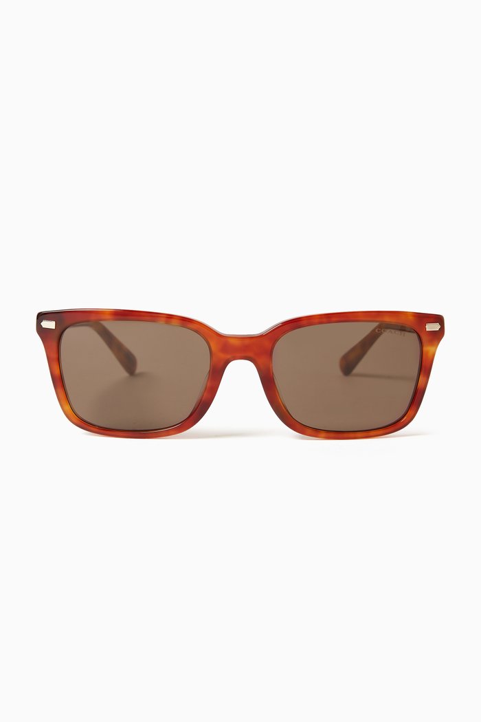 

D-frame Sunglasses in Acetate, Brown