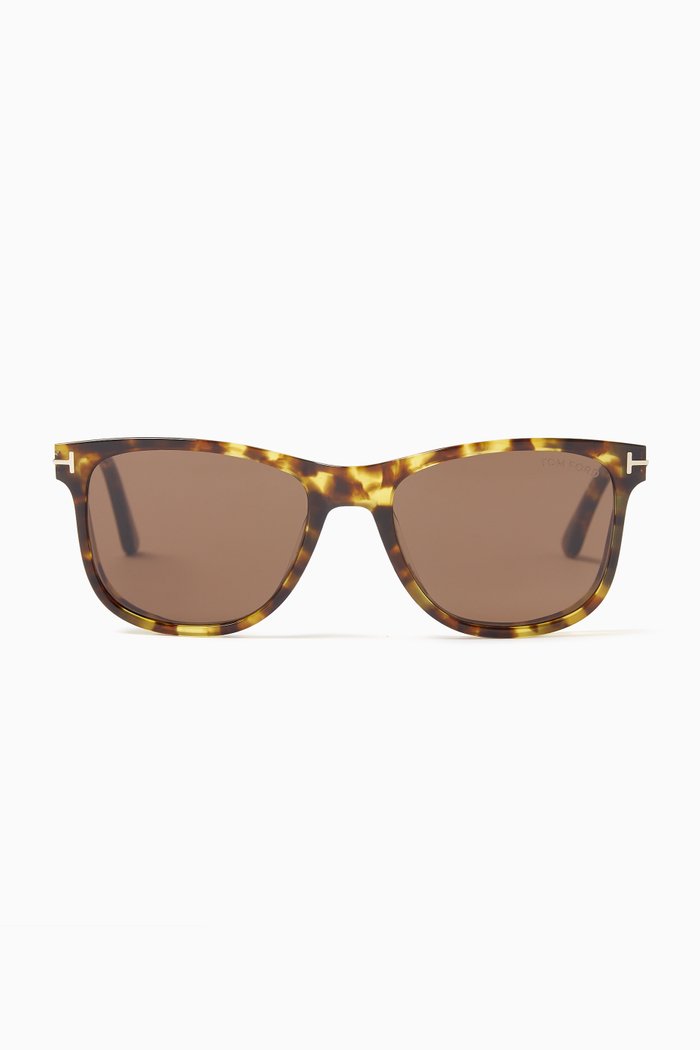 

Sinatra Wayfarer Sunglasses in Acetate, Brown