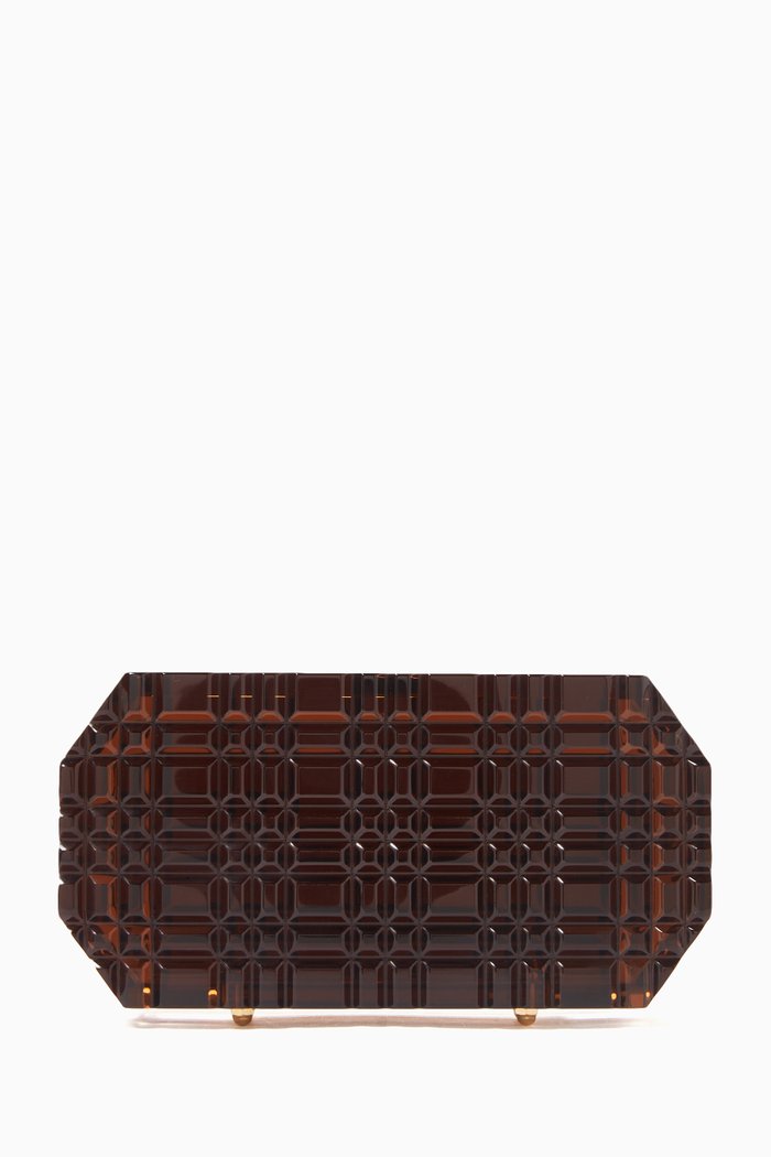 

Sierra Clutch Bag in Acrylic, Brown