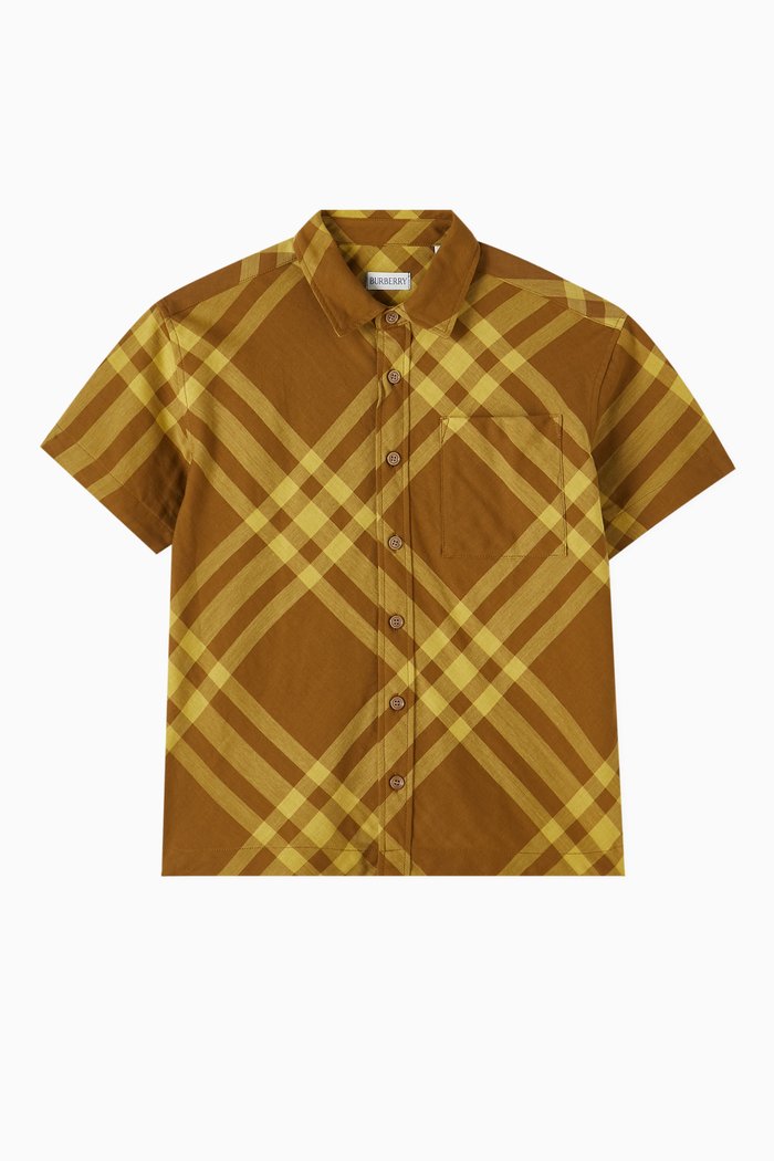 Devon Button Down Shirt in Cotton, Brown